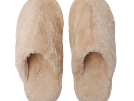 Black Colour Teddy Slippers - Cream Fashion