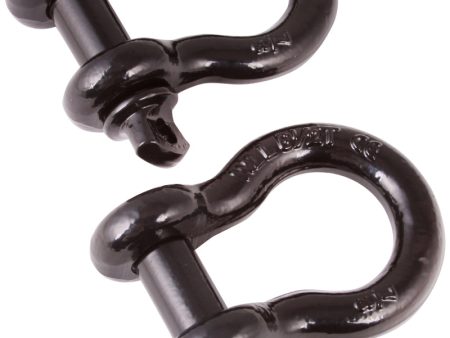 Rugged Ridge Black 7 8th Inch D-Shackles Discount